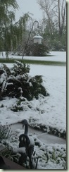 bird feeder in snow