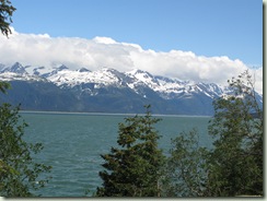 haines 004