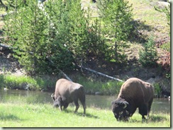 montana research trip july 2010 402