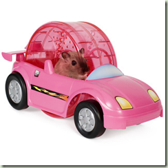 hamster car