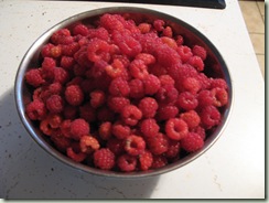 berries 001