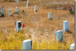 battle of little bighorn