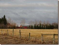 farm at morning 004