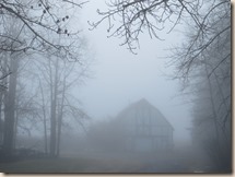 foggy morning 003